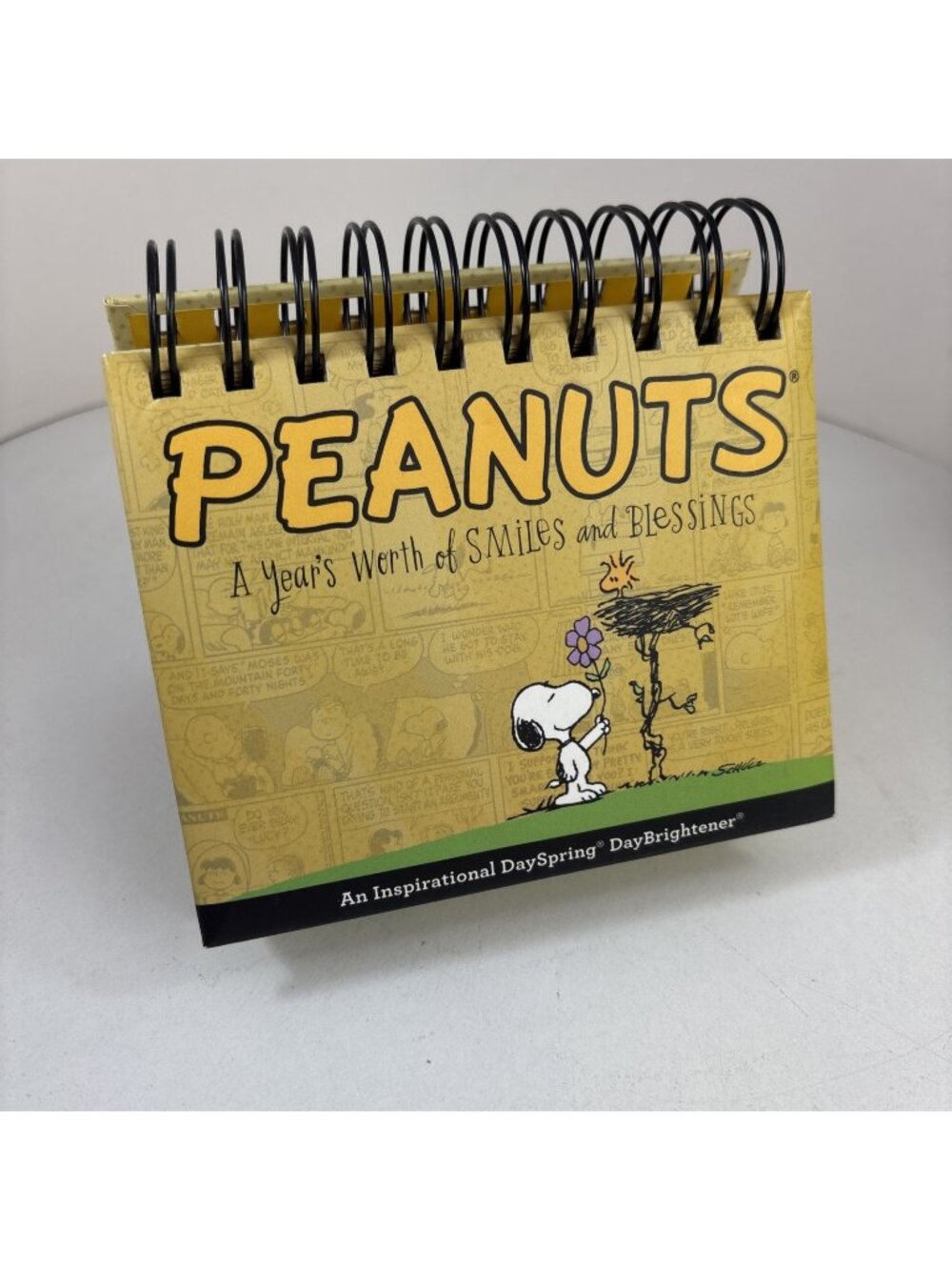 Dayspring Day Brightener: Peanuts Charlie Brown Snoopy -A Year Of Smiles Bless